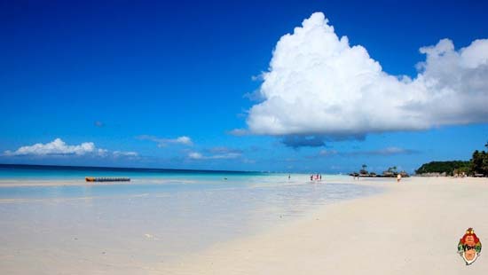 twomonkeystravelgroup-mainphoto